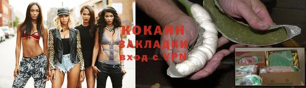 шишки Елабуга