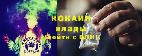 кокс Елизово