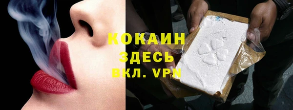 сатива Заводоуковск