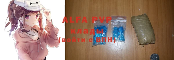 кокс Елизово