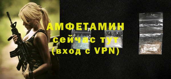 сатива Заводоуковск