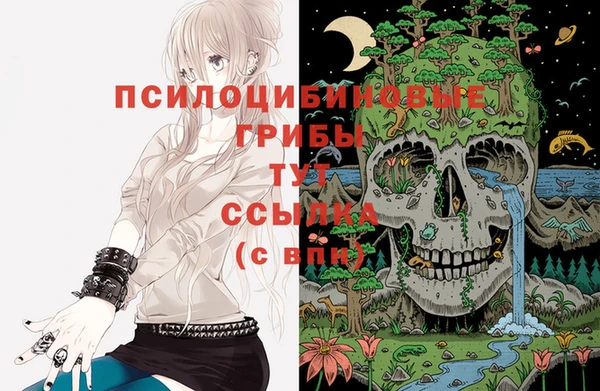 spice Заволжье