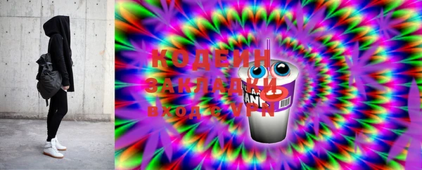 шишки Елабуга