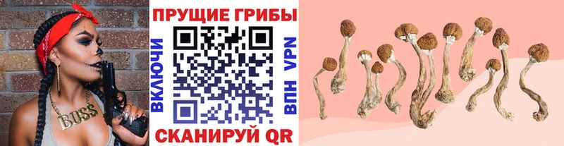 Галлюциногенные грибы мицелий  Катайск 